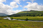 River Orchy