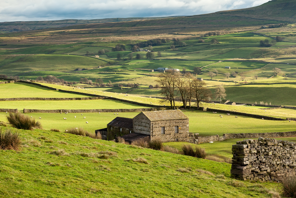 Herriot Way Walk in 2024/25 | Mickledore Travel