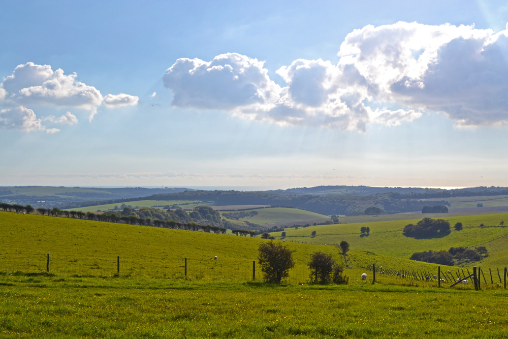 South Downs Way Walk In 2024 25 Mickledore Travel   Shutterstock 708009646 